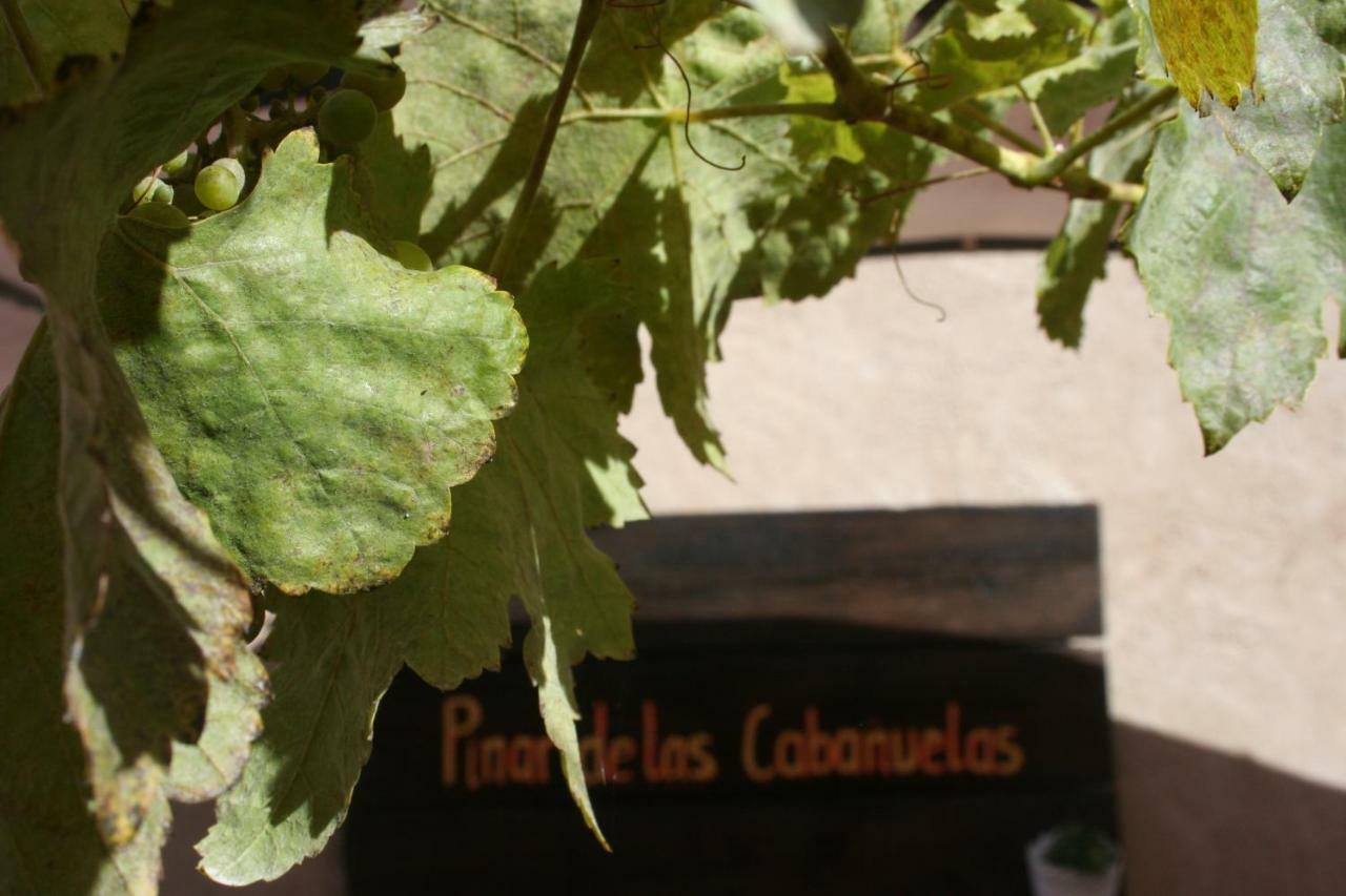 Pinar De Las Cabanuelas Villanueva de Duero 외부 사진